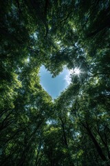 Fototapeta premium Romantic love theme for Valentines Day. A breathtaking forest canopy illuminated by the sun, its lush green leaves contrasting with the bright blue sky.