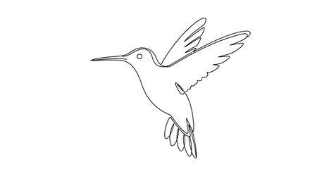 Fototapeta premium Elegant Hummingbird Line Art Drawing with Delicate Wings and Beak.
