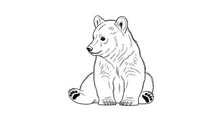 Adorable baby bear cub sitting peacefully hand-drawn illustration. © Haroh