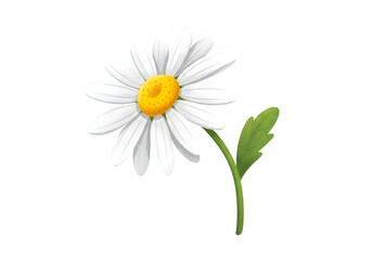 A simple illustration of a daisy flower with white petals and a yellow center. isolated on transparent background, png
