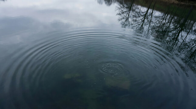 Circular ripples expanding on a calm water surface with tree reflections overhead