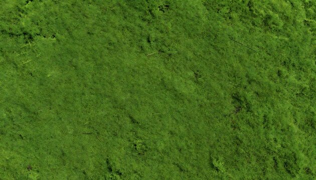 Aerial View of Lush Green Forest Canopy Texture.