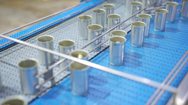 Canned food cans moving on automated conveyor belt in industrial seafood processing factory production line. Metal packaging and hygienic manufacturing for sardine and tomato sauce canning operation.