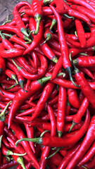 Bright Red Chili Peppers Piled High in Close Up