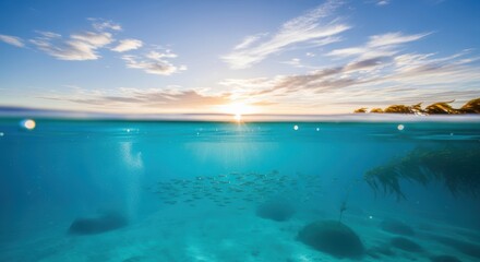 Obraz premium Serene underwater scene with ocean creatures and sunlight shining through water surface during sunrise in natural aquatic environment.