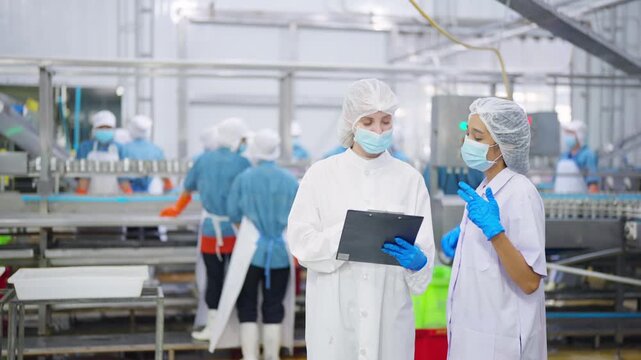Female workers inspecting canned food product on automated conveyor belt production line inside food processing factory, quality control and hygiene inspection in manufacturing and safety compliance.