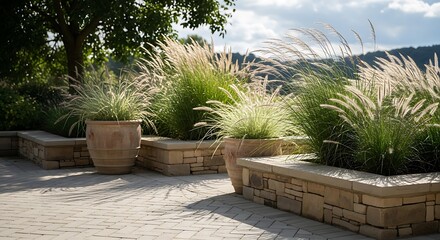 Fototapeta premium Ornamental grasses in terracotta pots on a stone patio landscape design