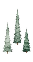 Obraz premium Watercolor Pine Trees Collection - Evergreen Forest Art