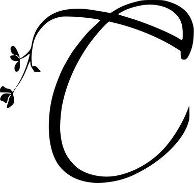 elegant alphabet monogram with floral ornament