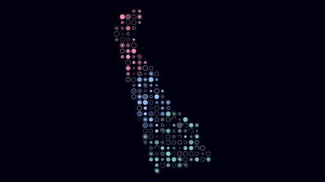 Delaware animation. Shape of the state with pulsating colored dots. Large size circle blocks. Digital style map on dark background. Simple video.
