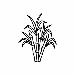 Fototapeta premium A simple black and white illustration of sugarcane plant. A plant commonly used to produce sugar