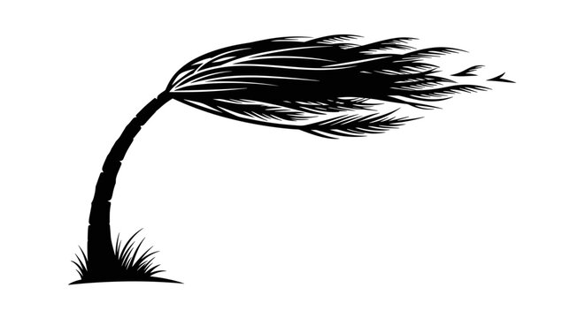 Silhouette of a single palm tree dramatically bending under the force of a strong gust of wind isolated on a white