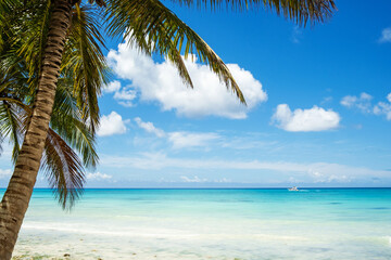 Beautiful coconut palms on the shore of the blue ocean. Tropical beach on the Caribbean Sea.