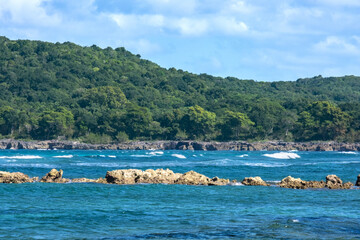 The Atlantic Ocean coast. Beautiful sea, cliffs, and green forest.