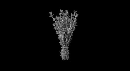 Fototapeta premium Bunch of dried rosemary herbs tied with string aromatic culinary spice plant transparent background