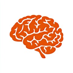 Stylized orange human brain with prominent gyri and sulci