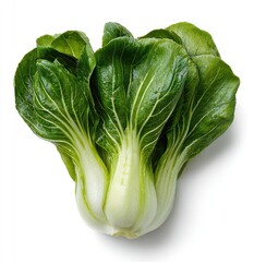 Fresh, vibrant green leafy vegetable with pale stems, studio shot