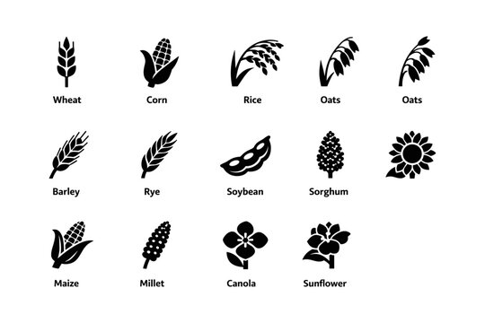 Silhouette icons of wheat, corn, rice, oats, barley, and more agricultural crops