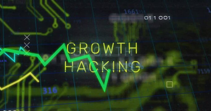 Green line appearing on grid starting GROWTH HACKING and three lines peaking, settling to show data