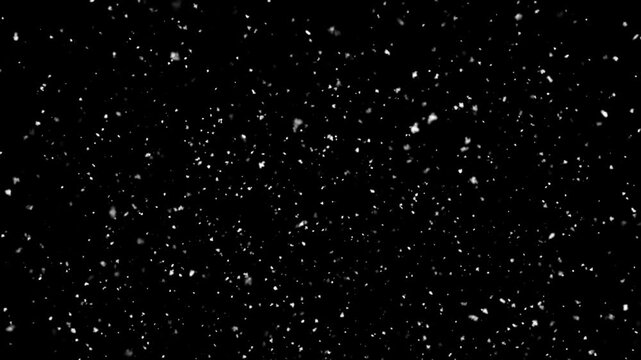 snowfall overlay, black background - winter, slowly falling snow green screen