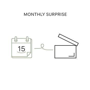 Exciting monthly subscription box arrives on schedule