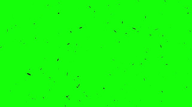 Vibrant green background animation with scattered black dots forming a dynamic pattern