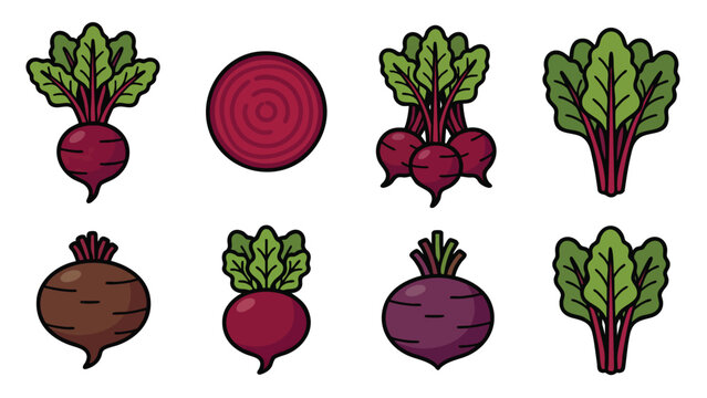Beetroot Illustration Set Whole Sliced and Leaves