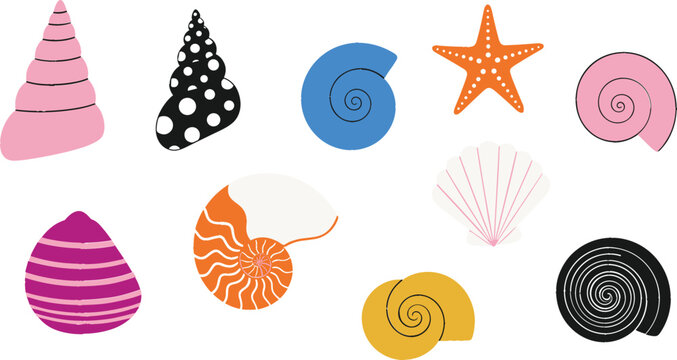 Colorful seashells and starfish vector illustration set with spiral shells and marine shapes, playful ocean elements isolated on white for beach, summer and decorative design