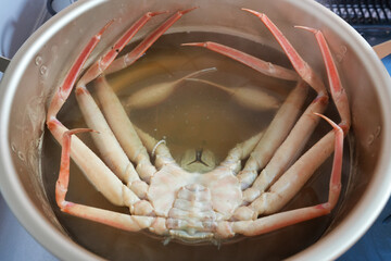 鍋で茹でている浜坂産松葉ガニ