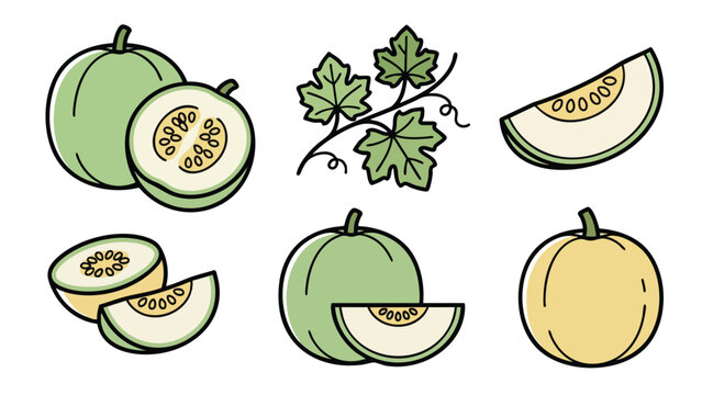 Ash Gourd Winter Melon Icon Set Cartoon Style Fresh Vegetable