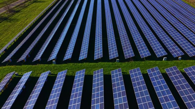 Rows of solar panels stretch across a vast open area. The panels are arranged systematically on the ground under a clear blue sky. The scene shows a focus on renewable energy.