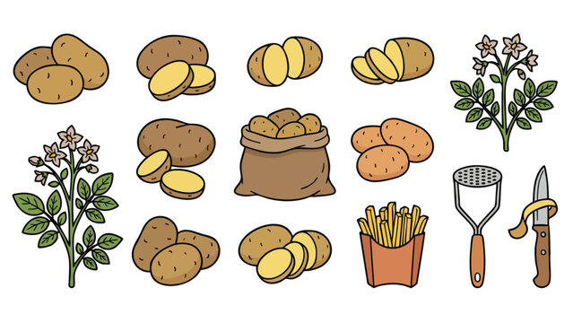 Potato Icon Set with Whole Sliced Plant Flower Fries and Tools Vector