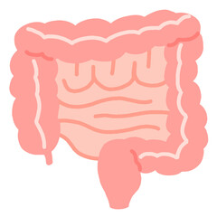 健康な腸のイラスト