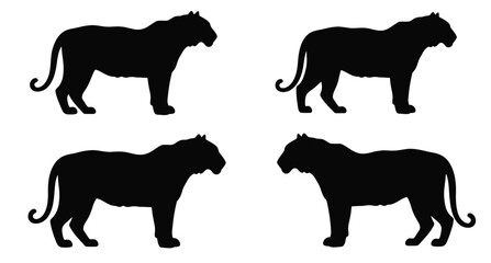 Four black silhouettes of tigers in various poses isolated on white background © MDJAMAL