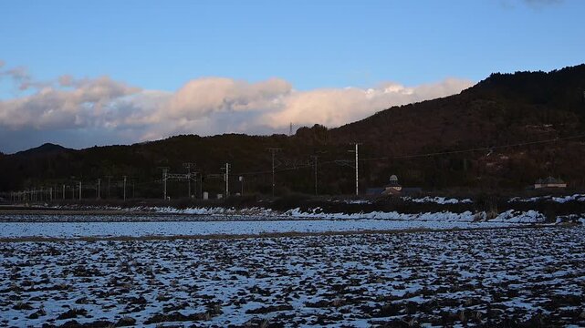 雪の残る冬の安土を通過するEF210牽引の貨物列車 （東海道本線 安土 - 能登川, 2026年1月）
