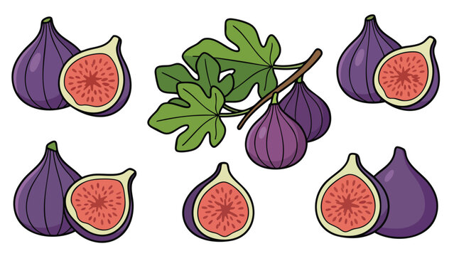 Fig Fruit Icons Set Cartoon Style Whole Cut Half and Branch