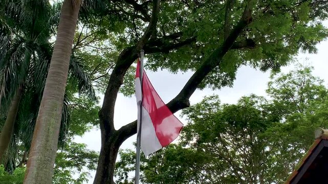the Indonesian flag or red and white flag flutters on a pole in the wind