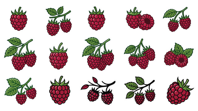 Raspberry Icons Set With Branch Leaf And Berry