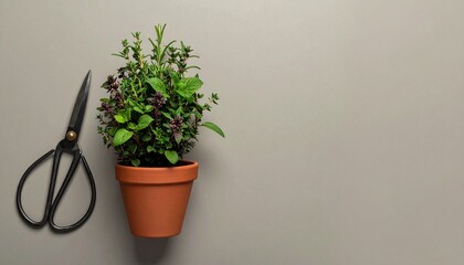 マットなウォームグレー背景に小さな鉢植えハーブと剪定ばさみを一角に非対称で配置したフラットレイ構図。
トップビューで大きなネガティブスペースを確保した上品なミニマルフラットデザイン。
落ち着いた色調と自然光を感じる柔らかなトーンで洗練された春の雰囲気を演出。