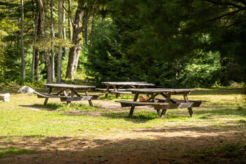 Wooden Picnic Tables Empty Forest Clearing Dappled Sunlight