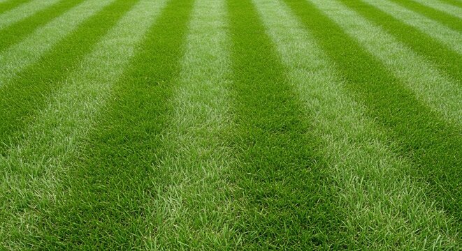 Perfectly Manicured Lawn with Striking Green Stripes.
