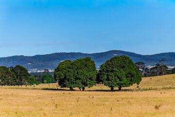 Goulburn Region - Explore the Picturesque Countryside of NSW