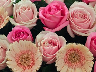 bouquet of pink roses