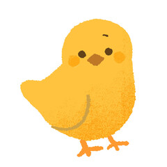 Cute yellow chick cartoon illustration on black background © illustATAM
