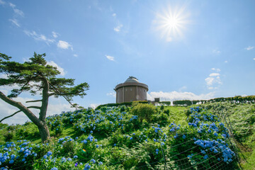 少し険しい猪名川町大野山