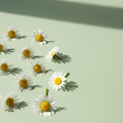 White daisies with yellow centers are scattered on a light green background.