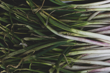 Fototapeta premium Green onion isolated on the wooden background