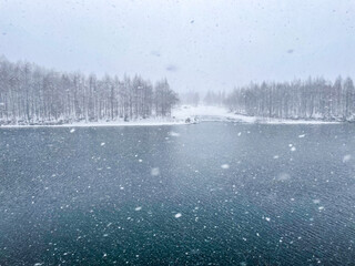 雪が降る池