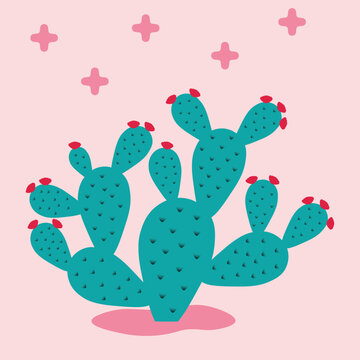 Desert Garden