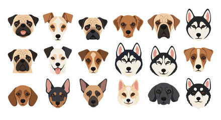 Obraz premium A diverse collection of various dog breed faces including pugs huskies and terriers illustrated in a simple and clean vector style.